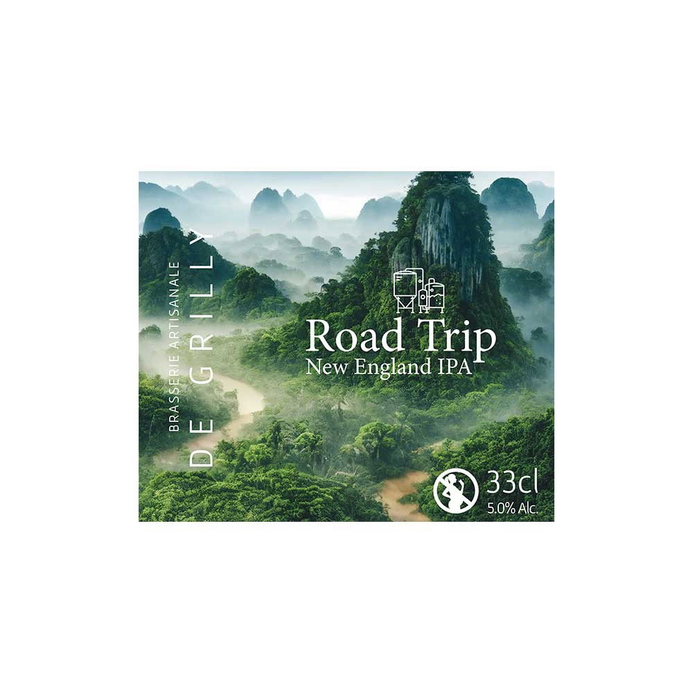 BIERE ROAD TRIP 33CL