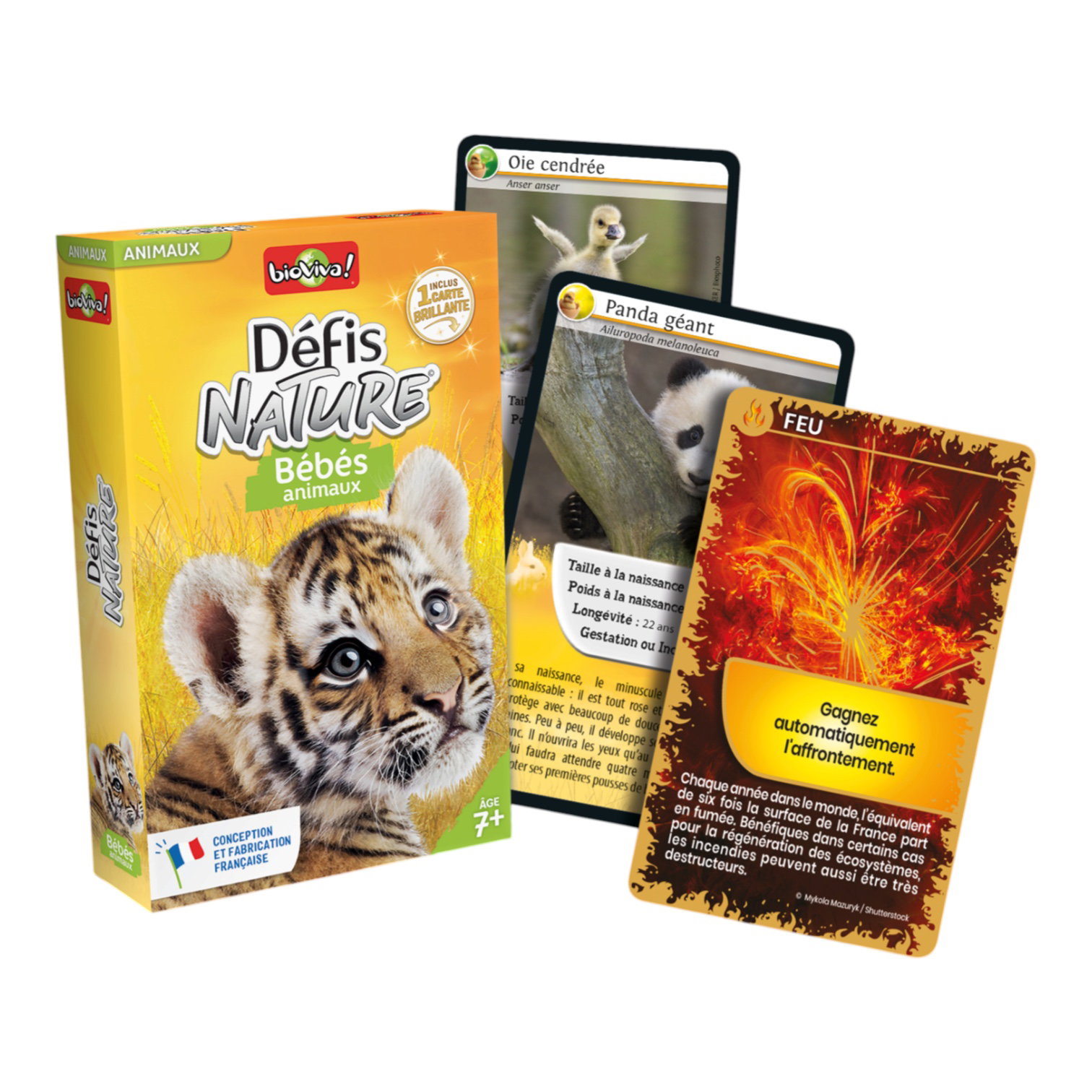 DEFIS NATURE BEBES ANIMAUX