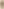 SHIITAKE SECHE 30g