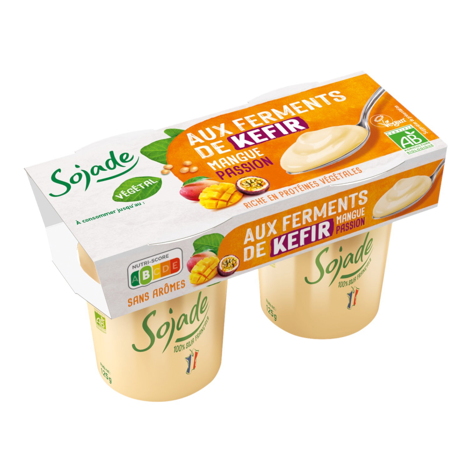 KEFIR SOJA MANGUE PASSION 2X125G