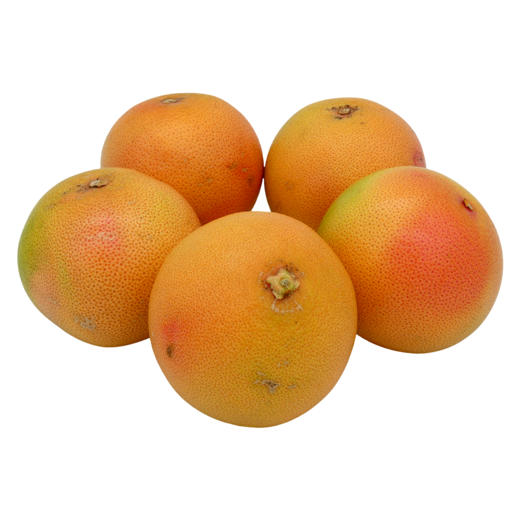 POMELO ROSE