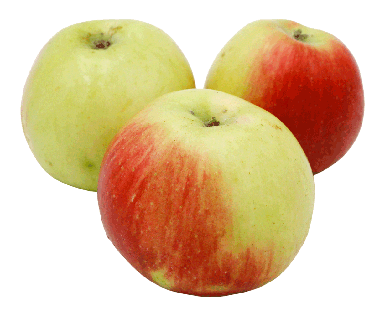 POMME AKANE