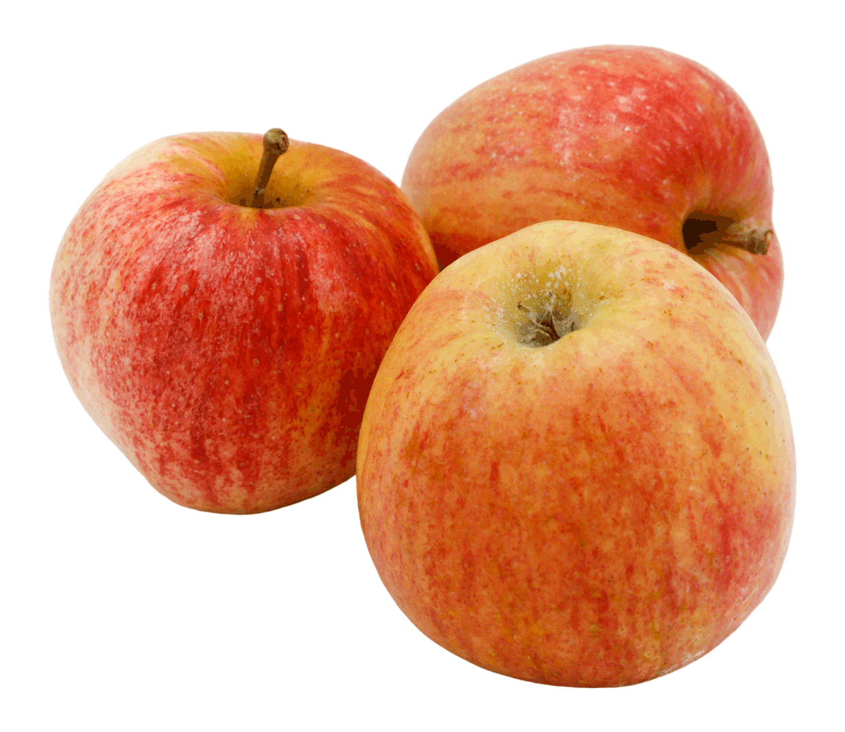 POMME ROYAL GALA