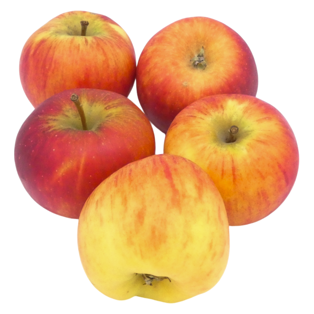 POMME PIROUETTE