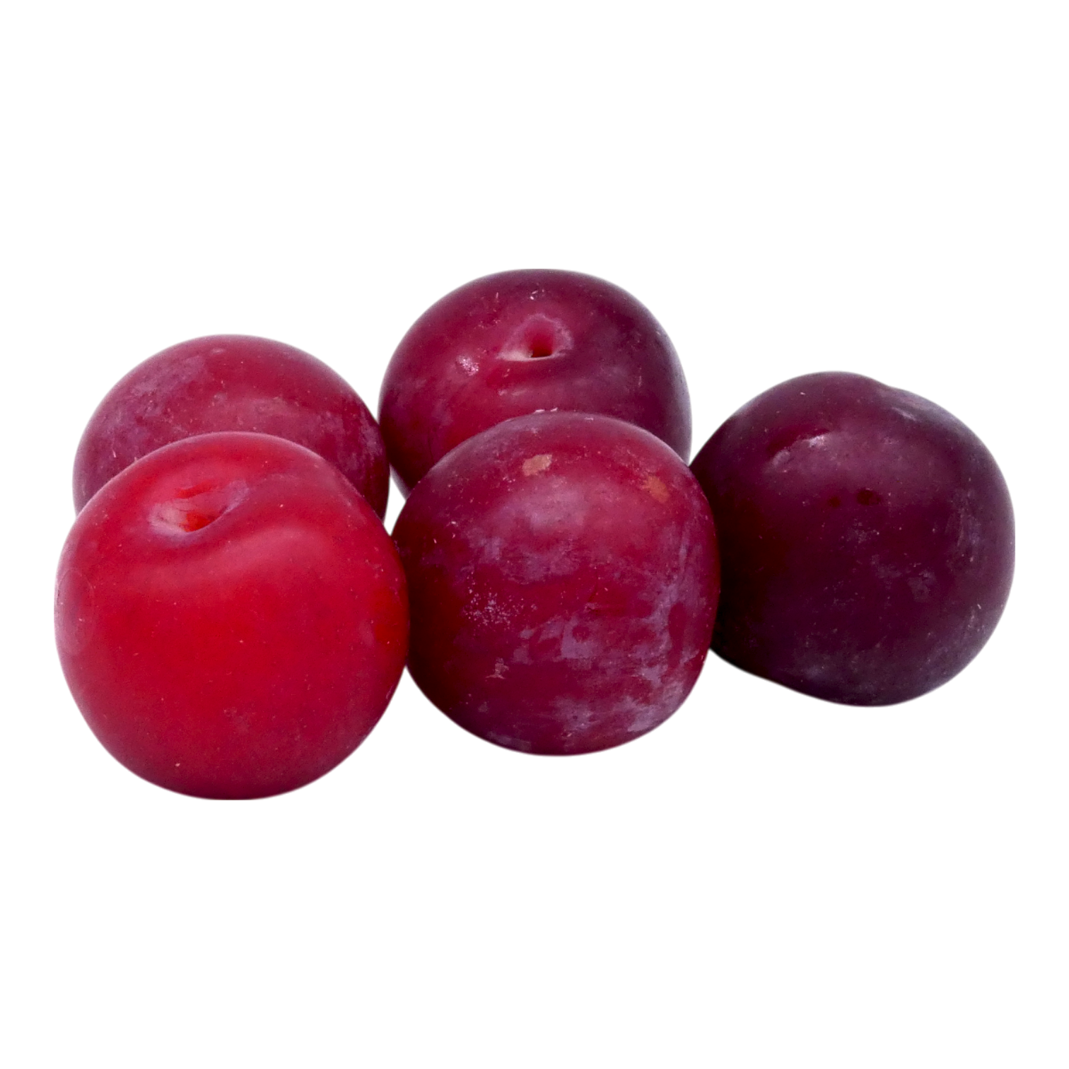 PRUNE ROUGE