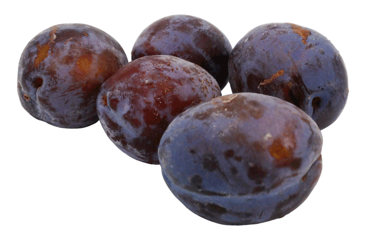 PRUNE VIOLETTE