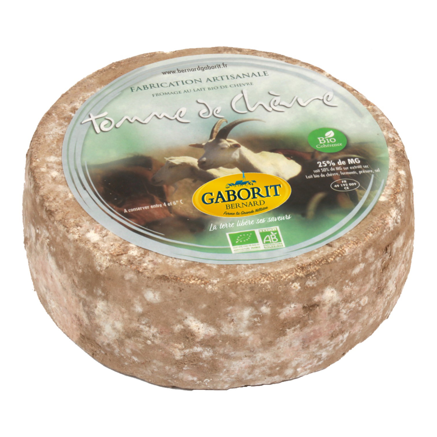 TOMME CHEVRE coupe