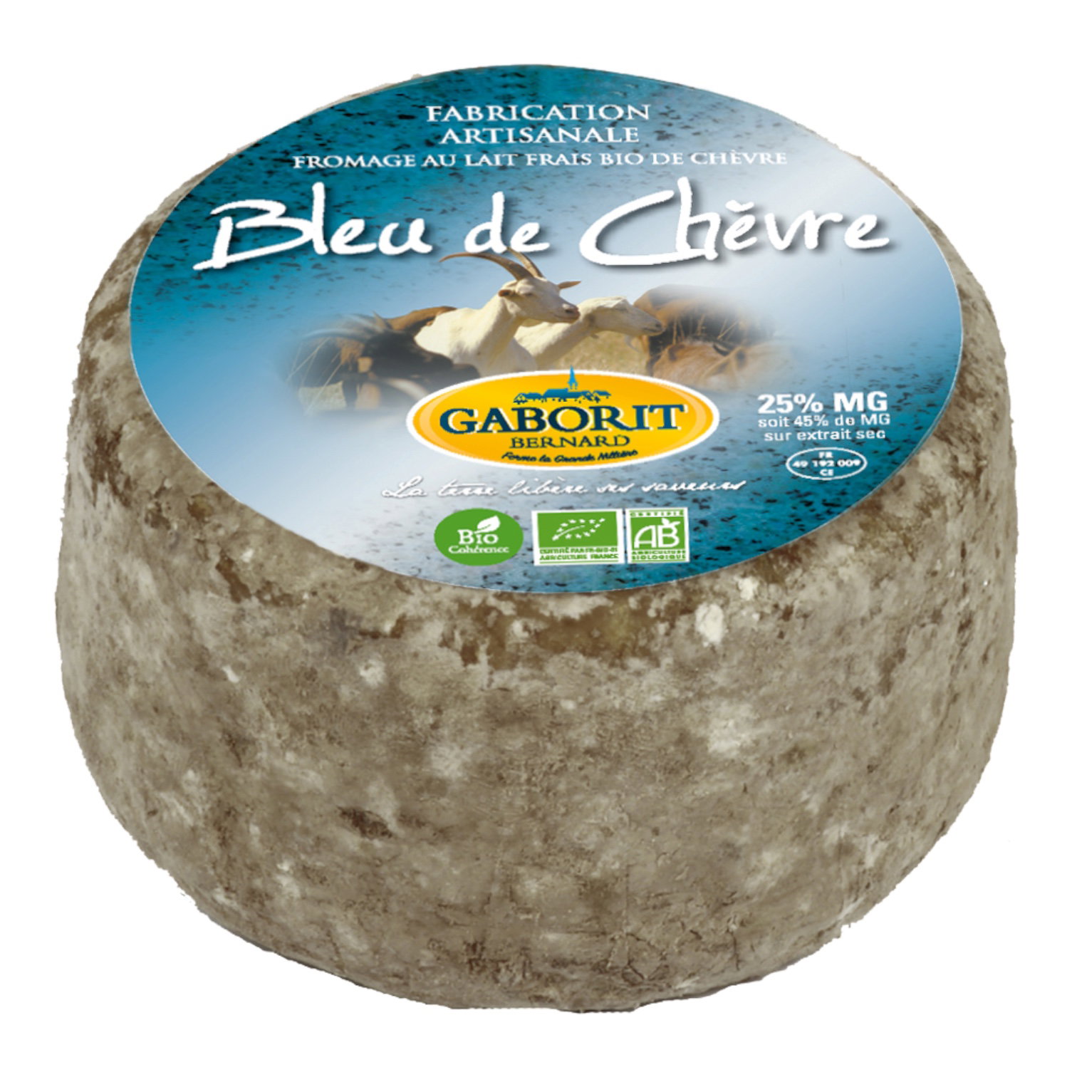 BLEU CHEVRE coupe