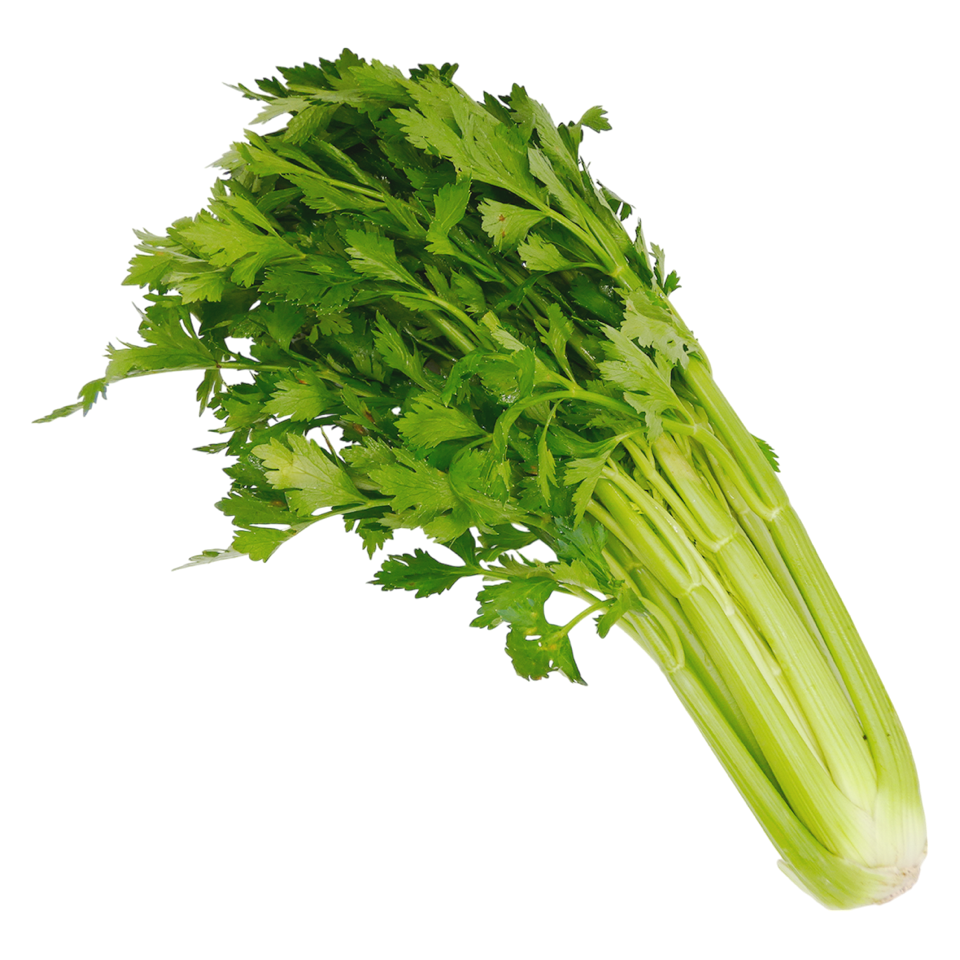 CELERI VERT BRANCHE