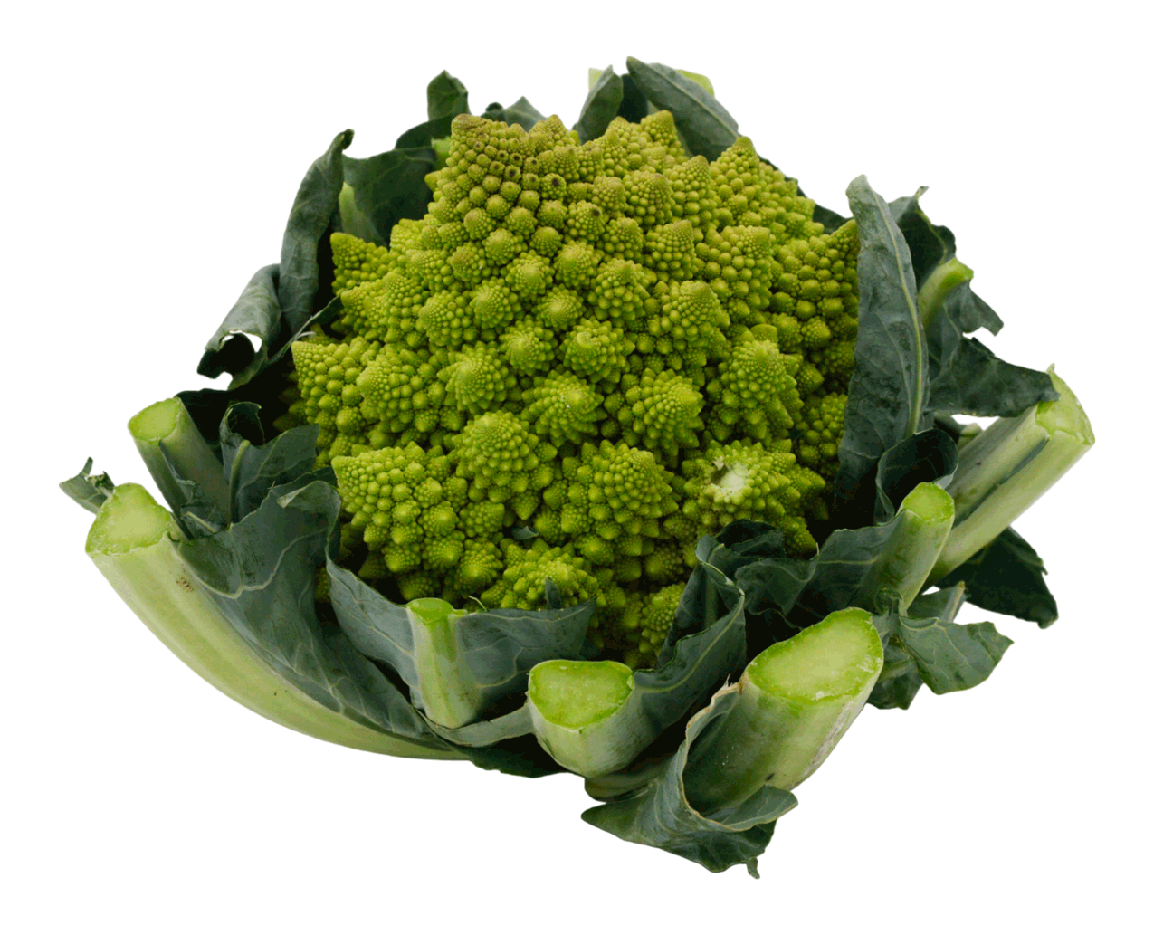 CHOU ROMANESCO