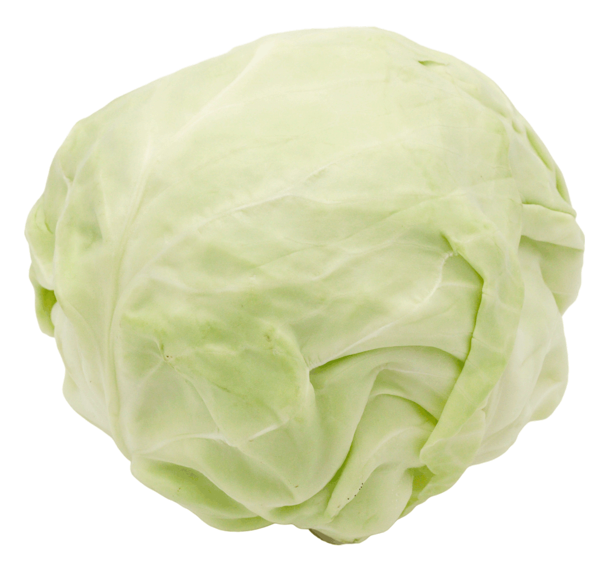 CHOU VERT LISSE