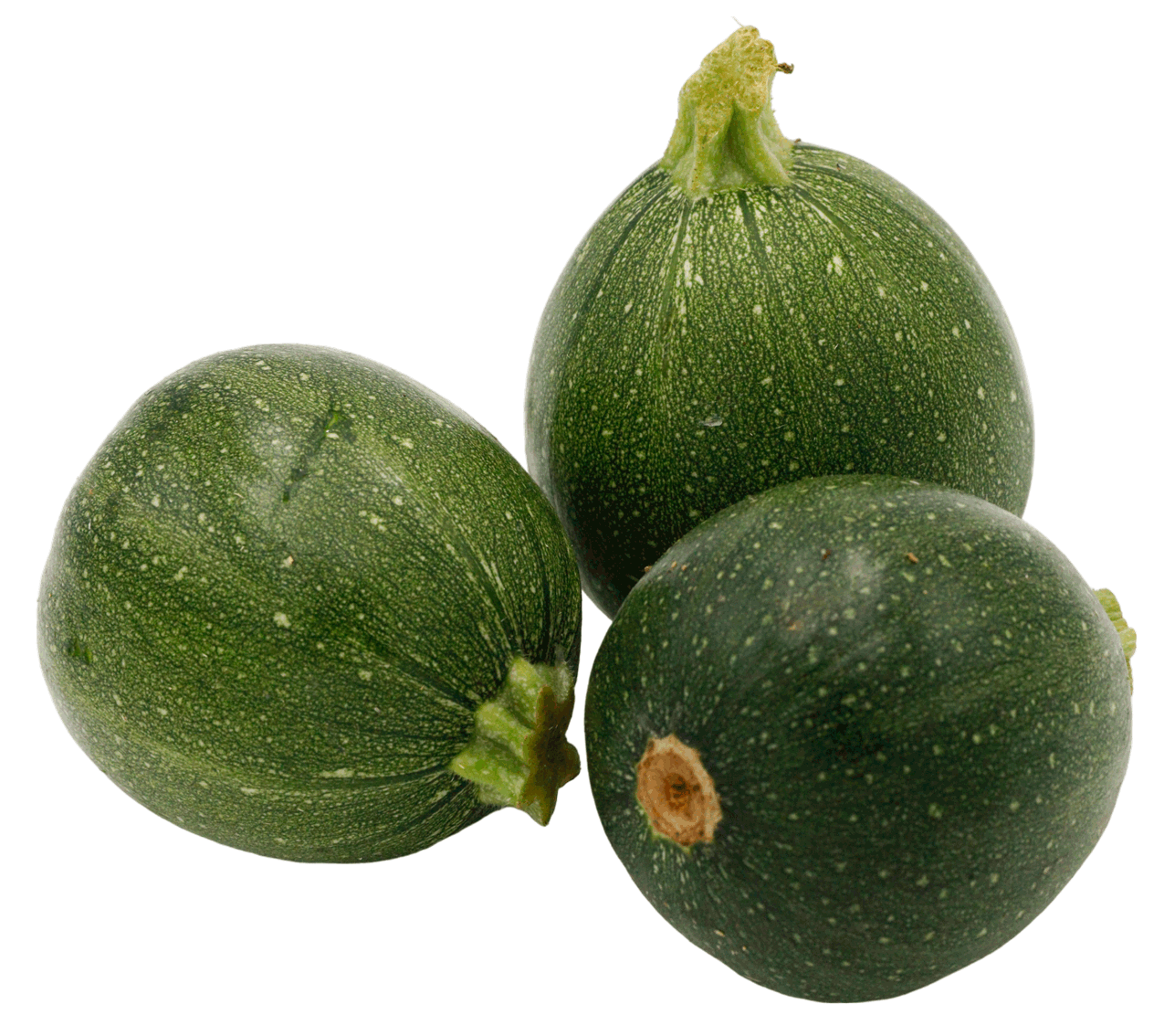 COURGETTE RONDE VERTE