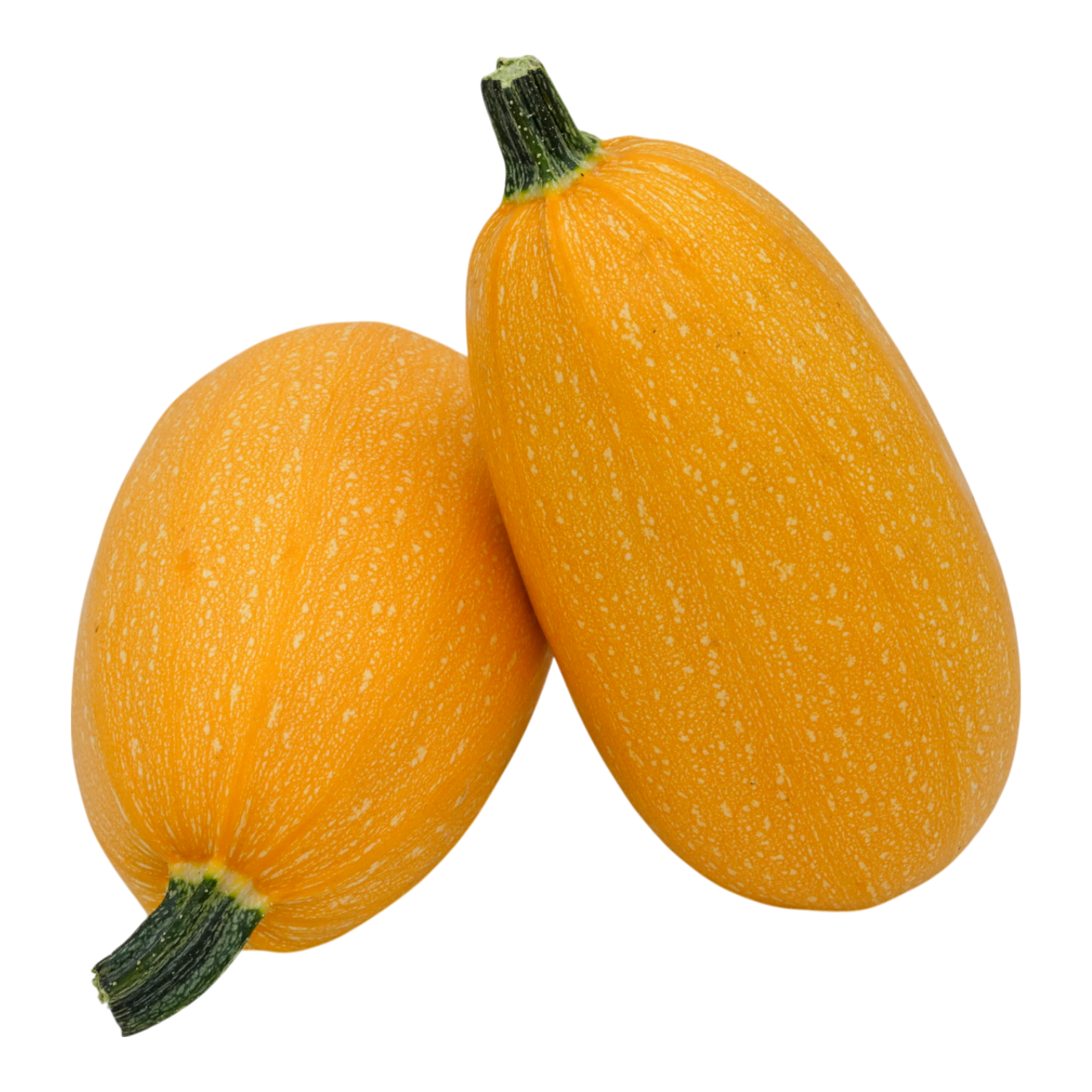 COURGE SPAGHETTI