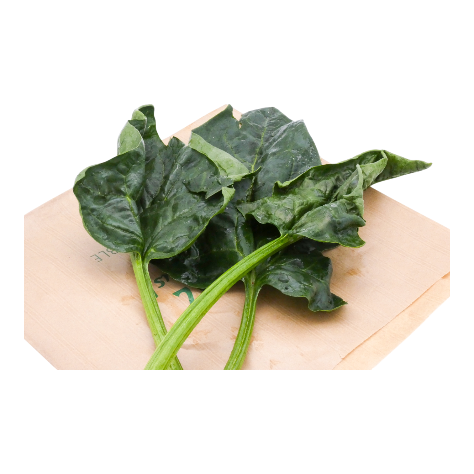 EPINARD FEUILLE