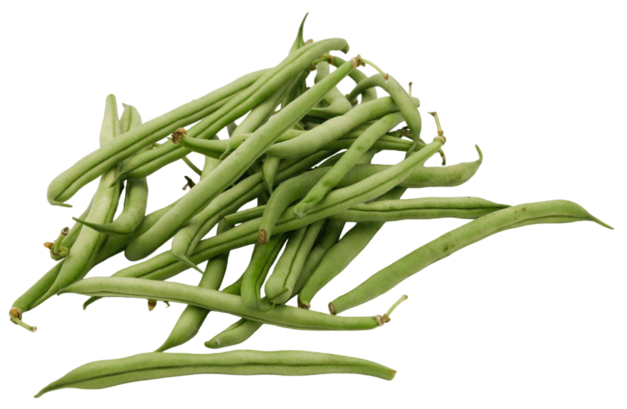 HARICOT VERT