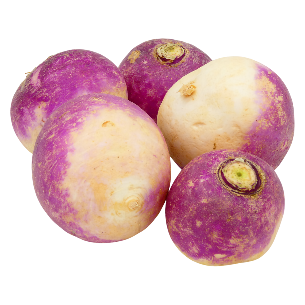 NAVET VIOLET