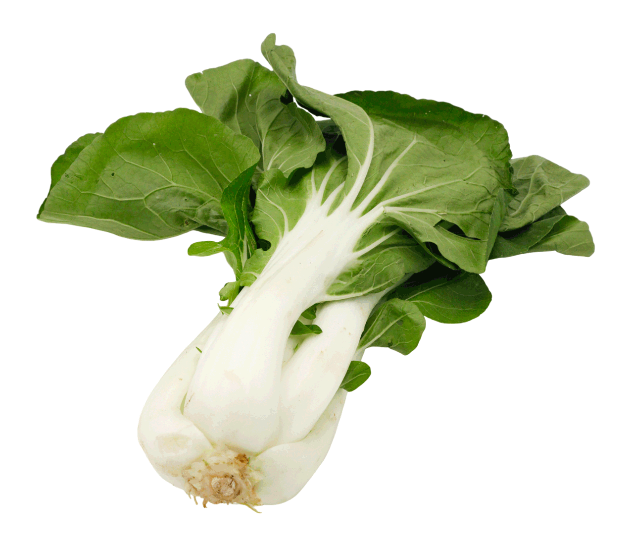 PAK CHOI