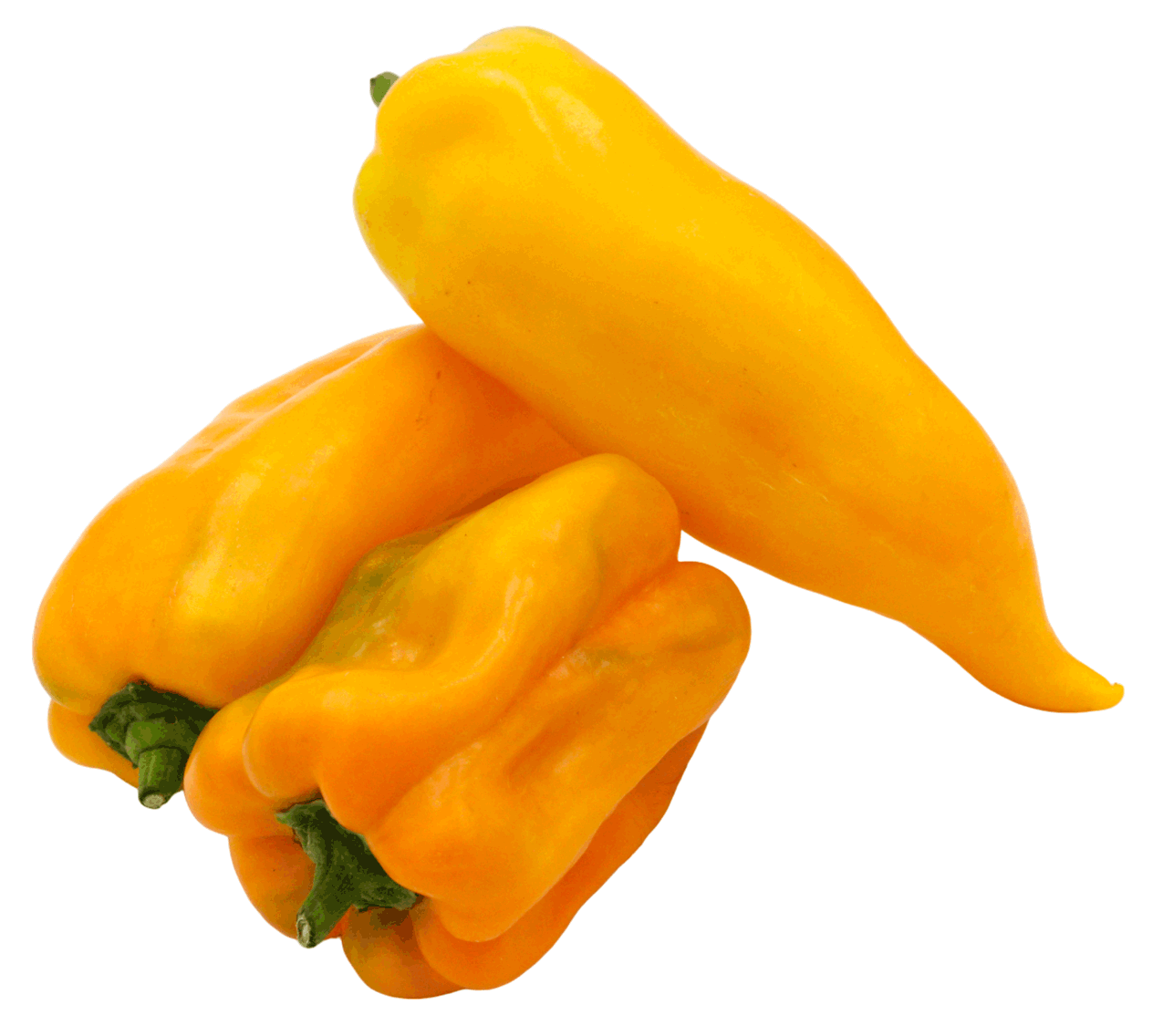 POIVRON JAUNE
