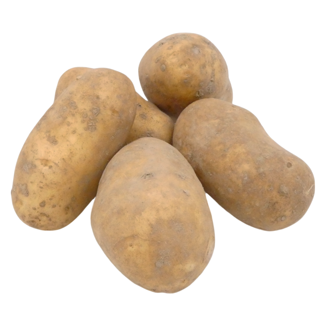 POMME DE TERRE DE CONSOMMATION ALLIANS