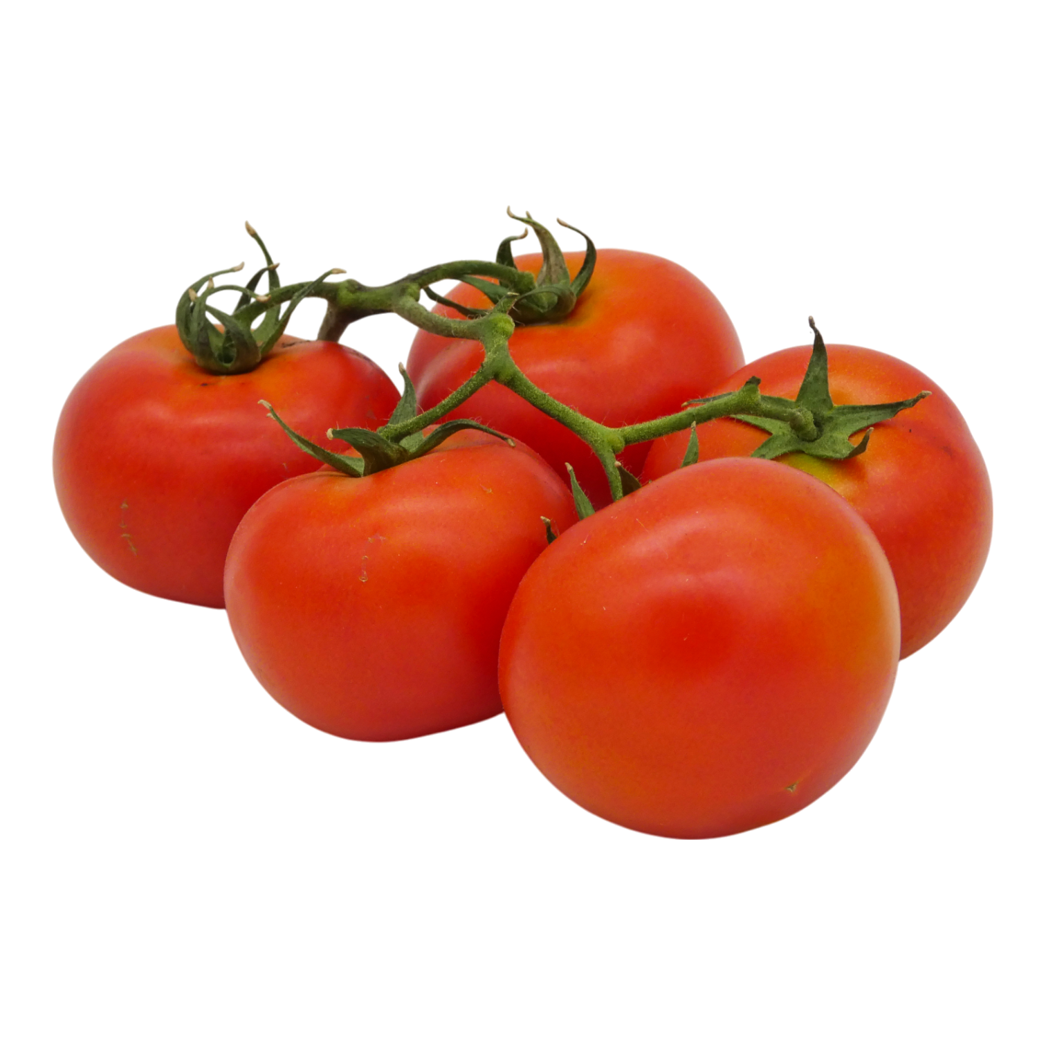 TOMATE RONDE GRAPPE