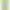 DENTIFRICE A CROQUER MENTHOL ALOE X80