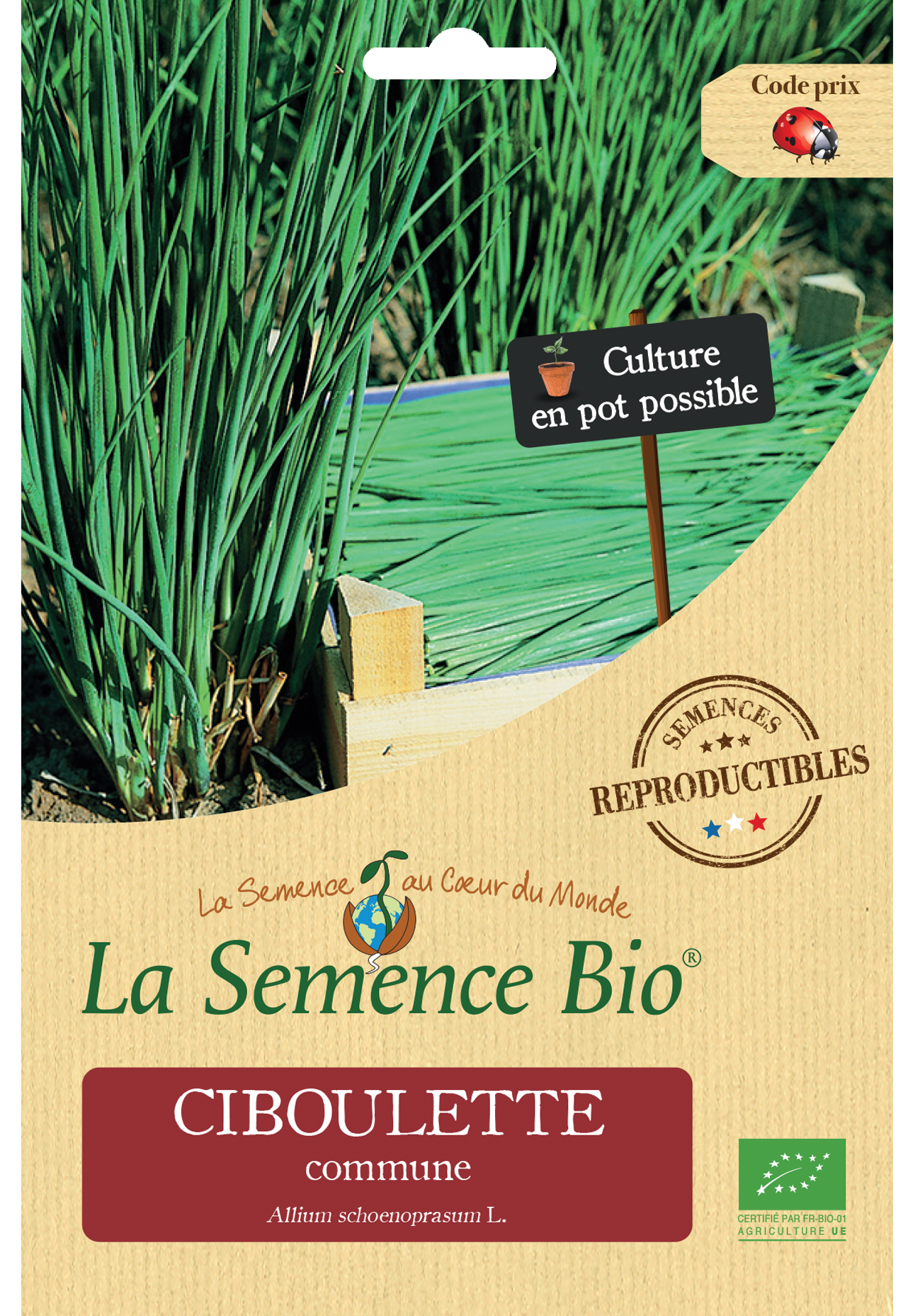 CIBOULETTE COMMUNE