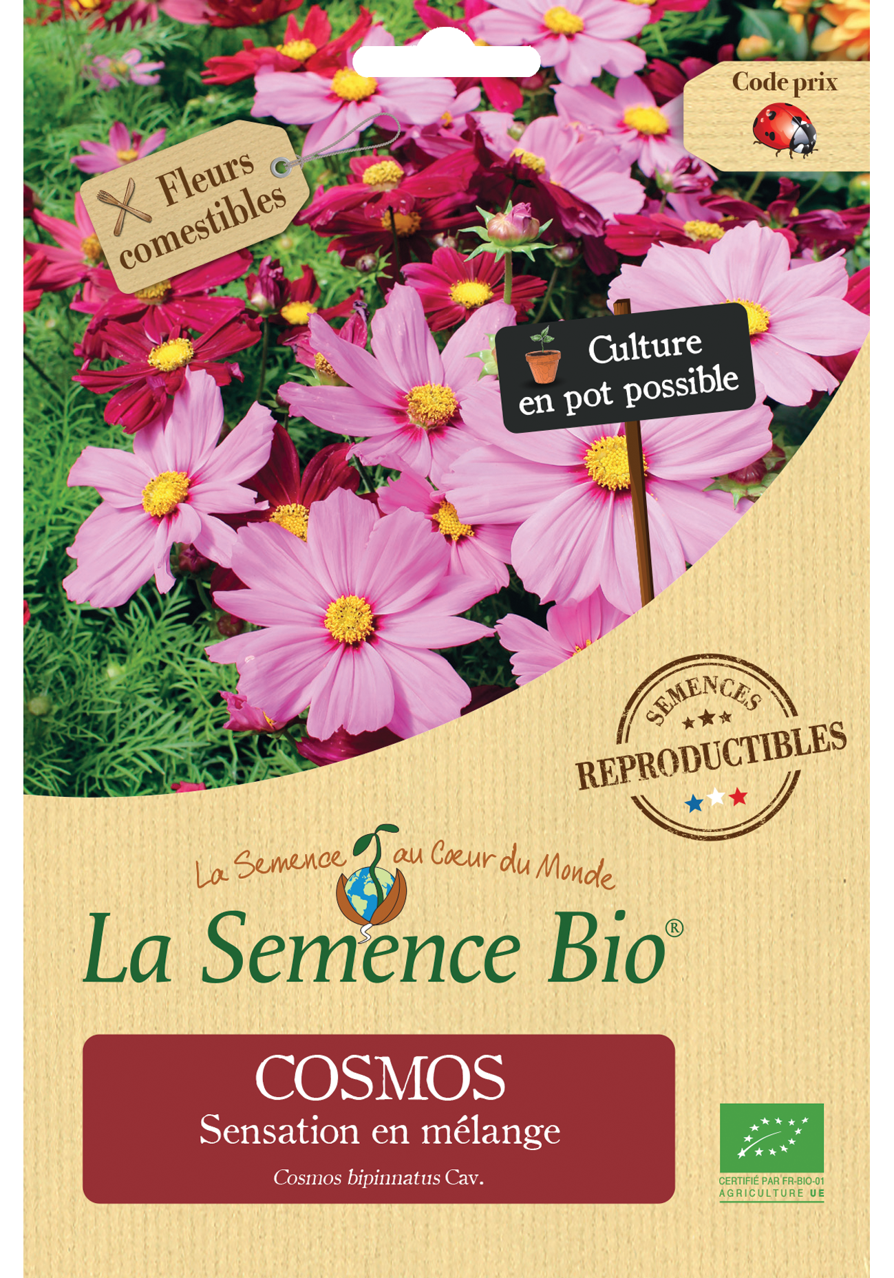 COSMOS SENSATION EN MELANGE
