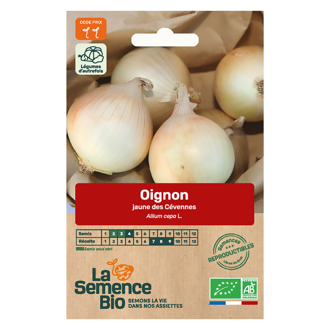 OIGNON JAUNE DES CEVENNES SEMIS