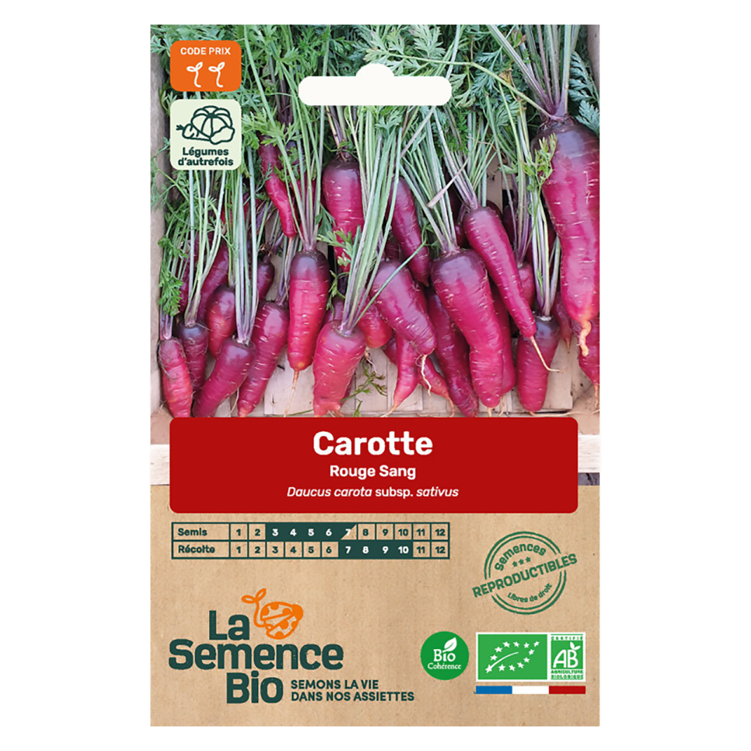 CAROTTE ROUGE SANG SEMIS
