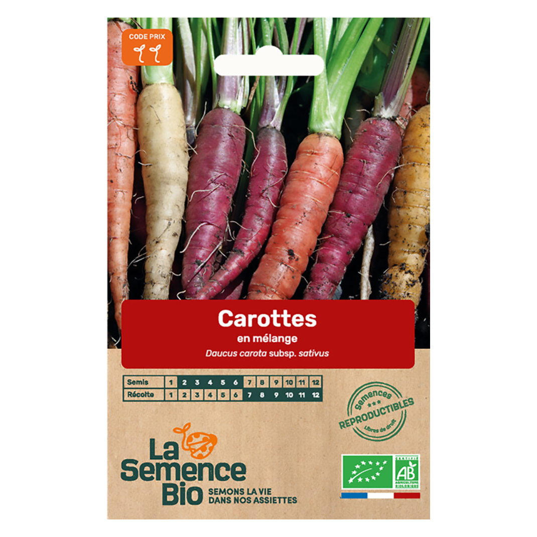 CAROTTES MELANGE SEMIS