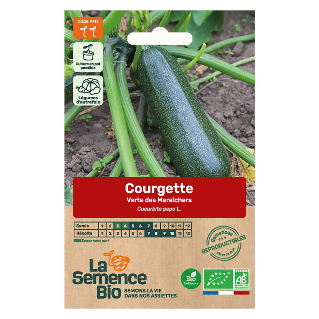 COURGETTE VERTE DES MARAICHERS SEMIS