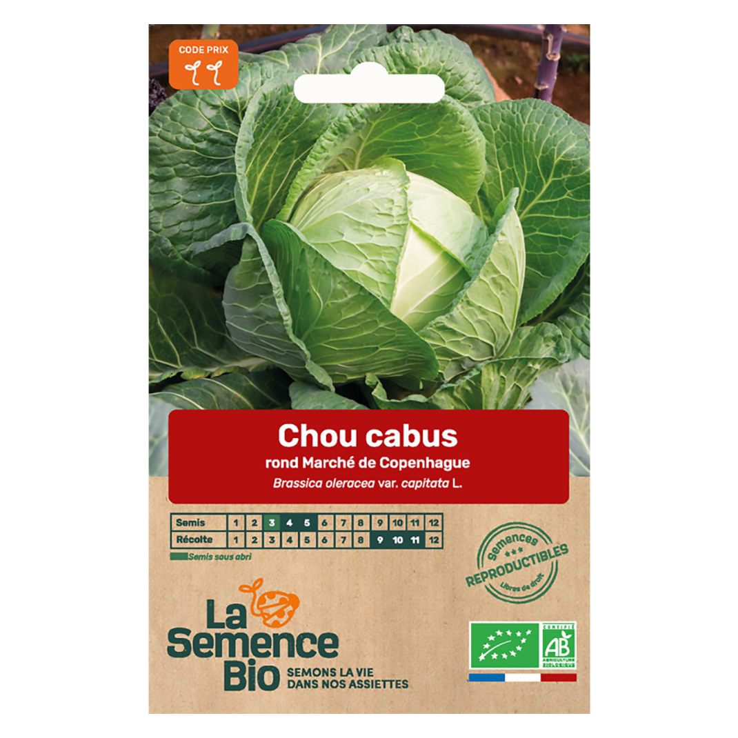 CHOU CABUS COPENHAGUE SEMIS