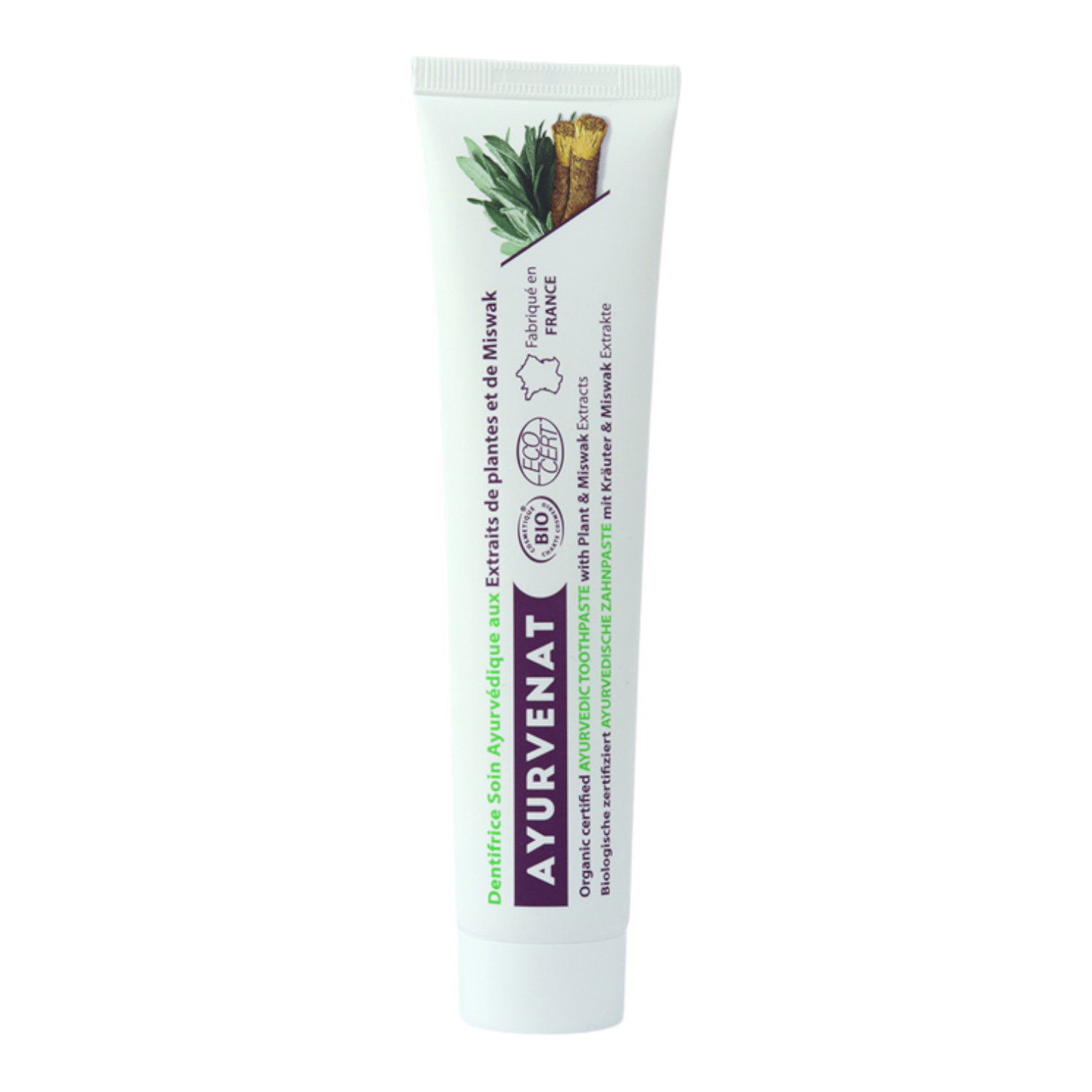 DENTIFRICE AYURVEDIQUE AU MISWAK 75ML