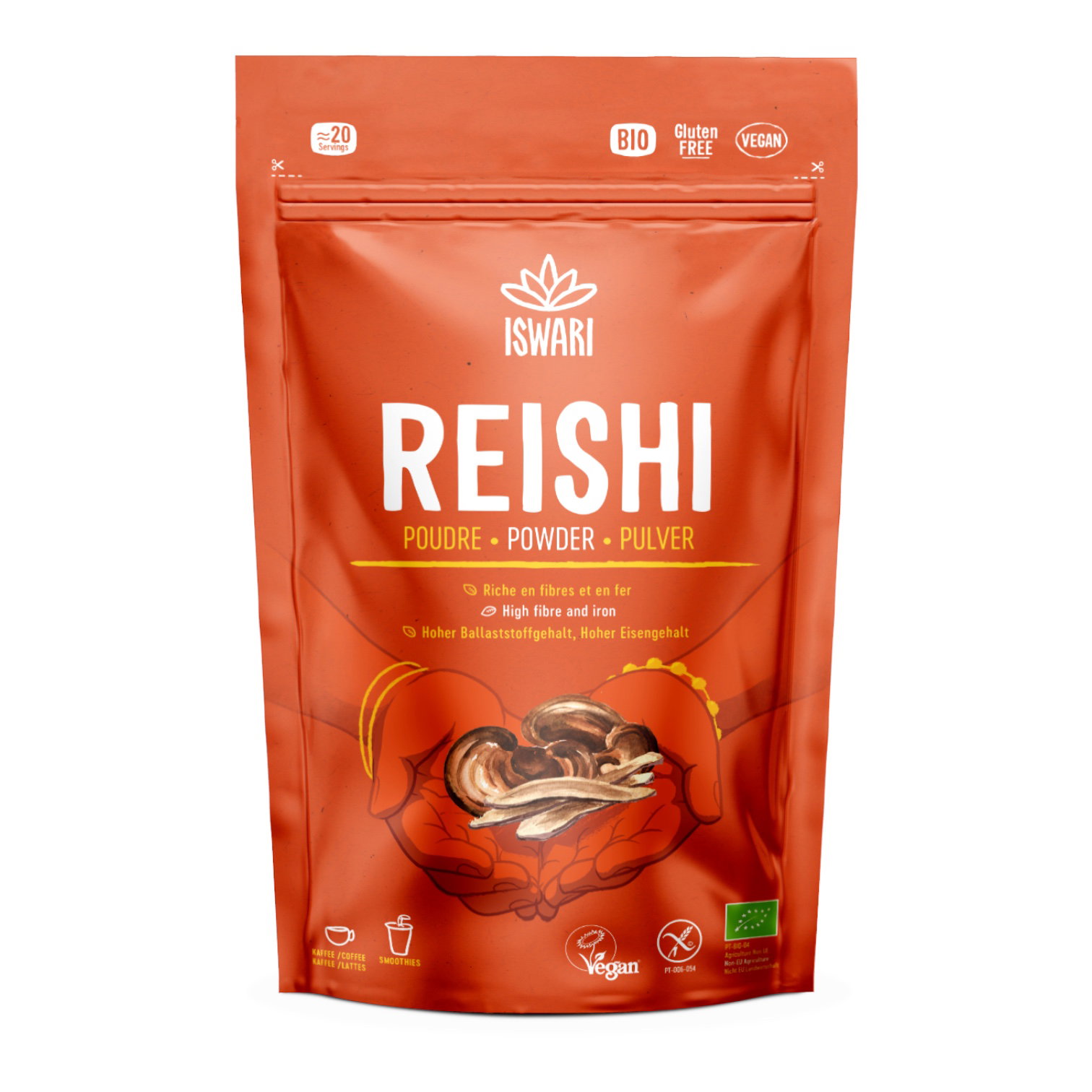 REISHI POUDRE 100G