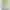 HARICOTS VERTS EXTRA FINS NATUREL 220G