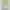 HARICOTS VERTS EXTRA FINS NATUREL 440G