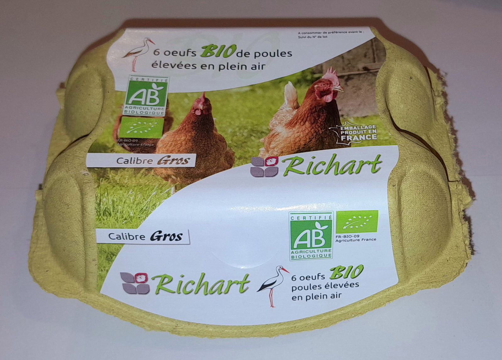 OEUFS GROS X6