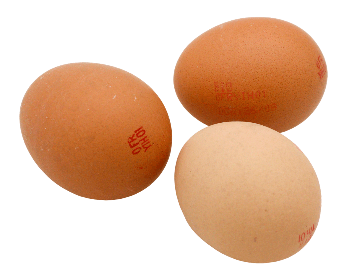 OEUF GROS UNITE