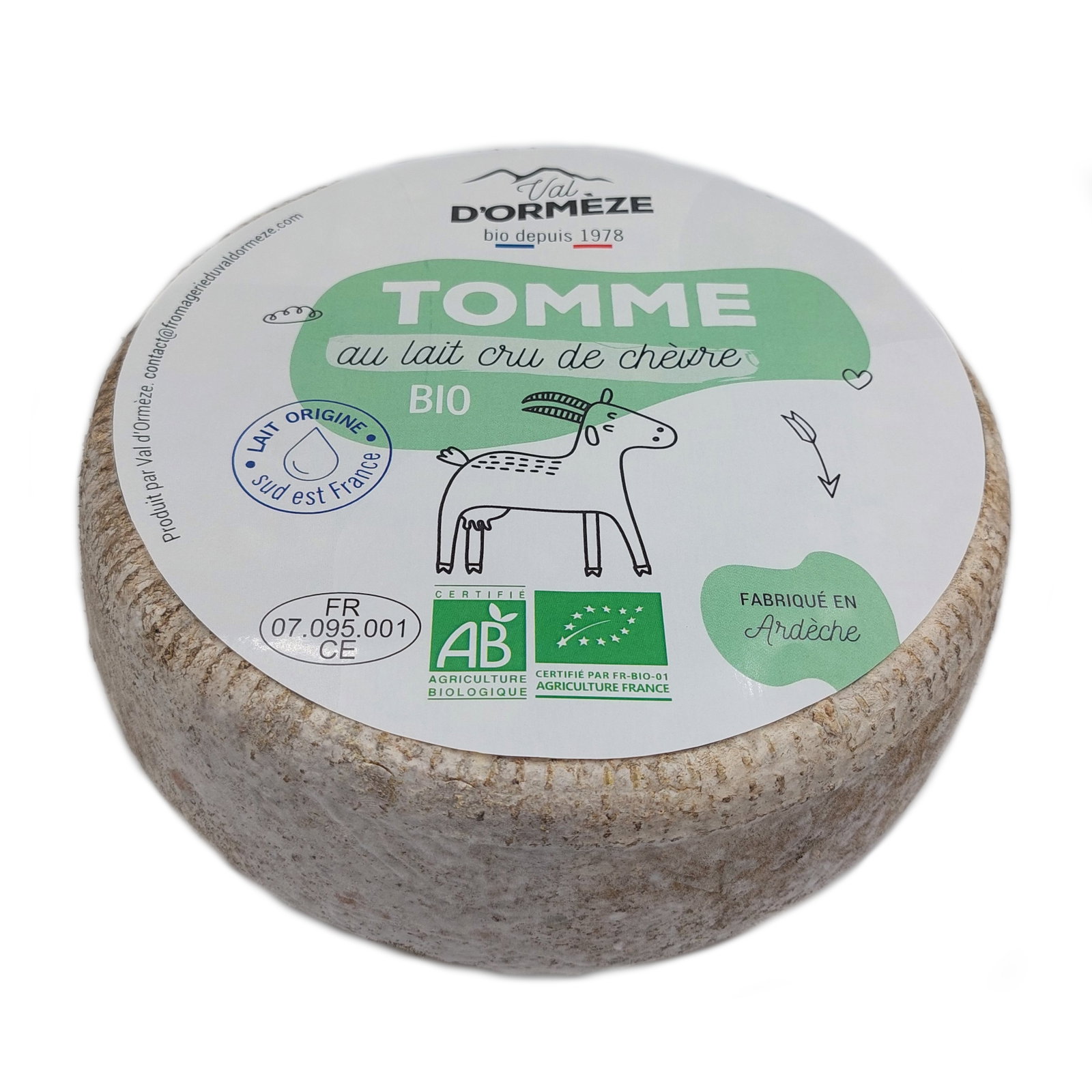 TOMME CHEVRE coupe